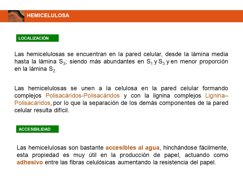 localizacion celular de la celulosa